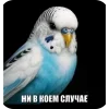 Стикер 24 Вряд
