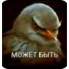 Стикер 21 Вряд