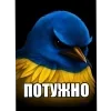 Стикер 26 Вряд