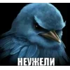 Стикер 12 Вряд