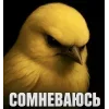 Стикер 49 Вряд