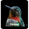 Стикер 20 Вряд
