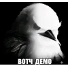 Стикер 11 Вряд