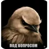 Стикер 48 Вряд