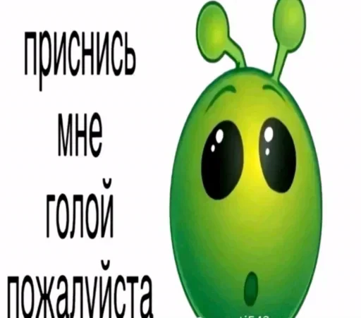🤩 Стикер «Взял стик пак=Нет матери» для Telegram