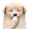 Стикер 37 Dogo #dog #animals #cute