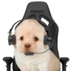 Стикер 35 Dogo #dog #animals #cute
