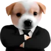 Обложка набора Dogo #dog #animals #cute