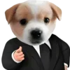 Стикер 2 Dogo #dog #animals #cute