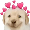 Стикер 21 Dogo #dog #animals #cute