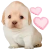 Стикер 17 Dogo #dog #animals #cute