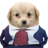Стикер 11 Dogo #dog #animals #cute