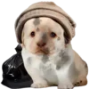 Стикер 32 Dogo #dog #animals #cute