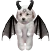 Стикер 57 Dogo #dog #animals #cute