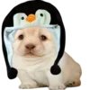 Стикер 33 Dogo #dog #animals #cute