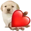Стикер 19 Dogo #dog #animals #cute