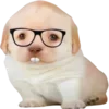 Стикер 28 Dogo #dog #animals #cute