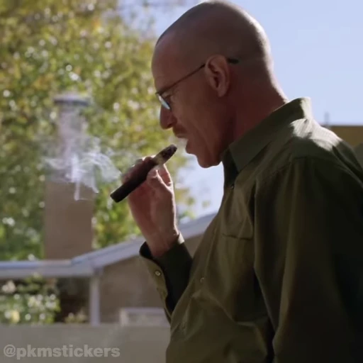 😮‍💨 Стикер «Walter White» для Telegram