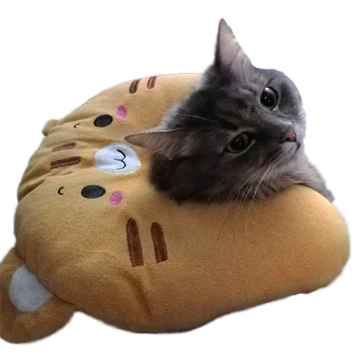 😊 Стикер «CatMaine Chan» для Telegram