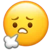 Стикер 59 Wechat Emoji Static