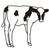 Стикер 15 Zoo