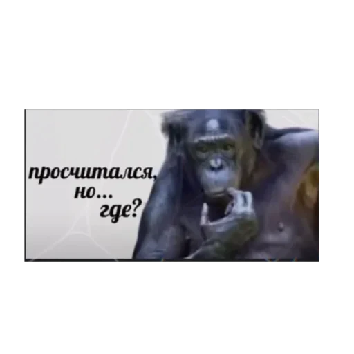 🫥 Стикер «ебанат» для Telegram