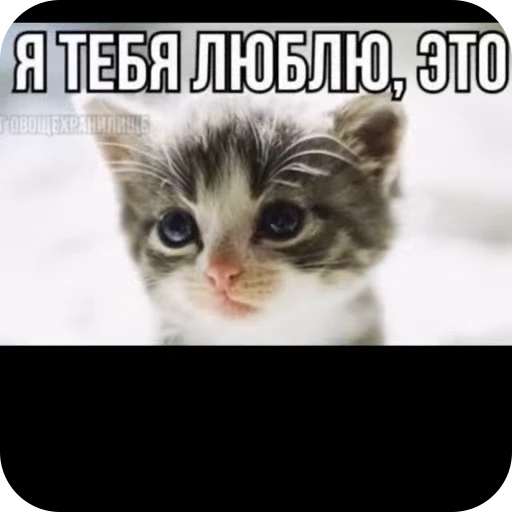 ❤️ Стикер «стикеры ядерк» для Telegram