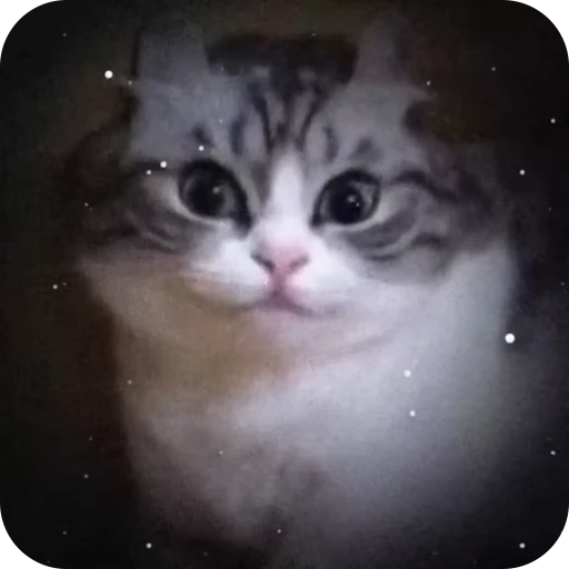 👀 Стикер «стикеры ядерк» для Telegram