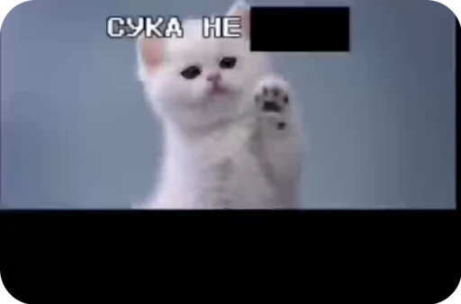 😇 Стикер «стикеры ядерк» для Telegram