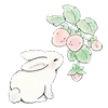 Стикер 25 🐰 Bunnies