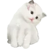 Стикер 45 𝒲𝘩𝘪𝘵𝘦