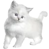Стикер 49 𝒲𝘩𝘪𝘵𝘦