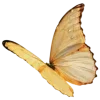 Стикер 18 𝗐𝗁𝗂𝗍𝖾 𝗀𝗈𝗅𝖽