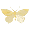 Стикер 34 𝗐𝗁𝗂𝗍𝖾 𝗀𝗈𝗅𝖽