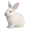 Стикер 61 𝗐𝗁𝗂𝗍𝖾 𝗀𝗈𝗅𝖽