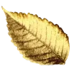Стикер 10 𝗐𝗁𝗂𝗍𝖾 𝗀𝗈𝗅𝖽