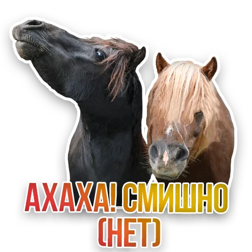 🐴 Стикер «Недомашние животные» для Telegram