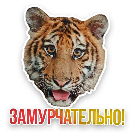 🐯 Стикер «Недомашние животные» для Telegram