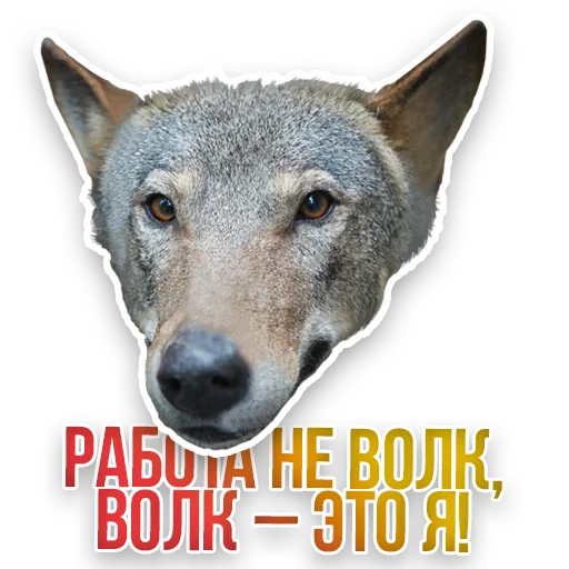 🐺 Стикер «Недомашние животные» для Telegram