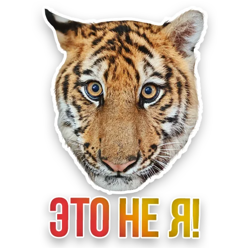 🐯 Стикер «Недомашние животные» для Telegram