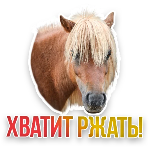 😝 Стикер «Недомашние животные» для Telegram
