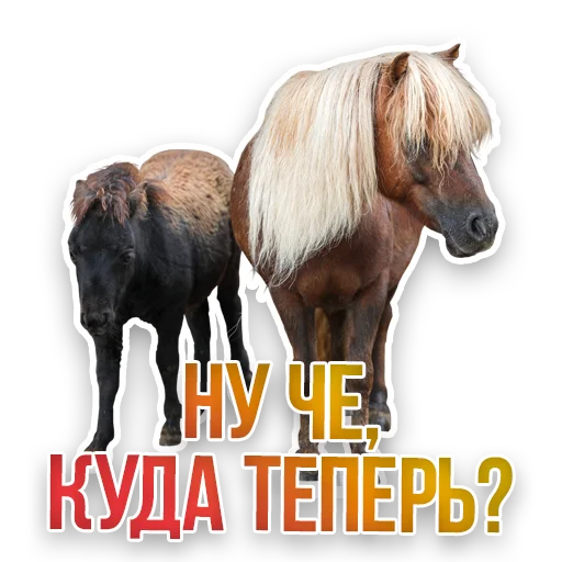 😟 Стикер «Недомашние животные» для Telegram