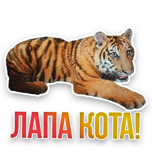 🐅 Стикер «Недомашние животные» для Telegram