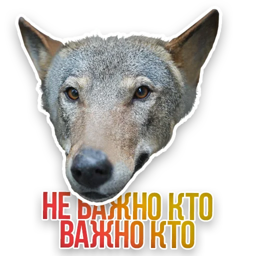 🐺 Стикер «Недомашние животные» для Telegram
