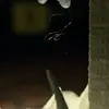 Стикер 19 😠🤕😏🙁🤦‍♂️😐