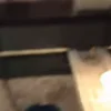 Стикер 15 Бебрина