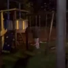 Стикер 18 Бебрина