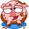 Стикер 38 Свинка Винки - Winky pig emoji