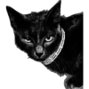 Стикер 11 Black glamour