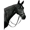 Стикер 26 Black glamour